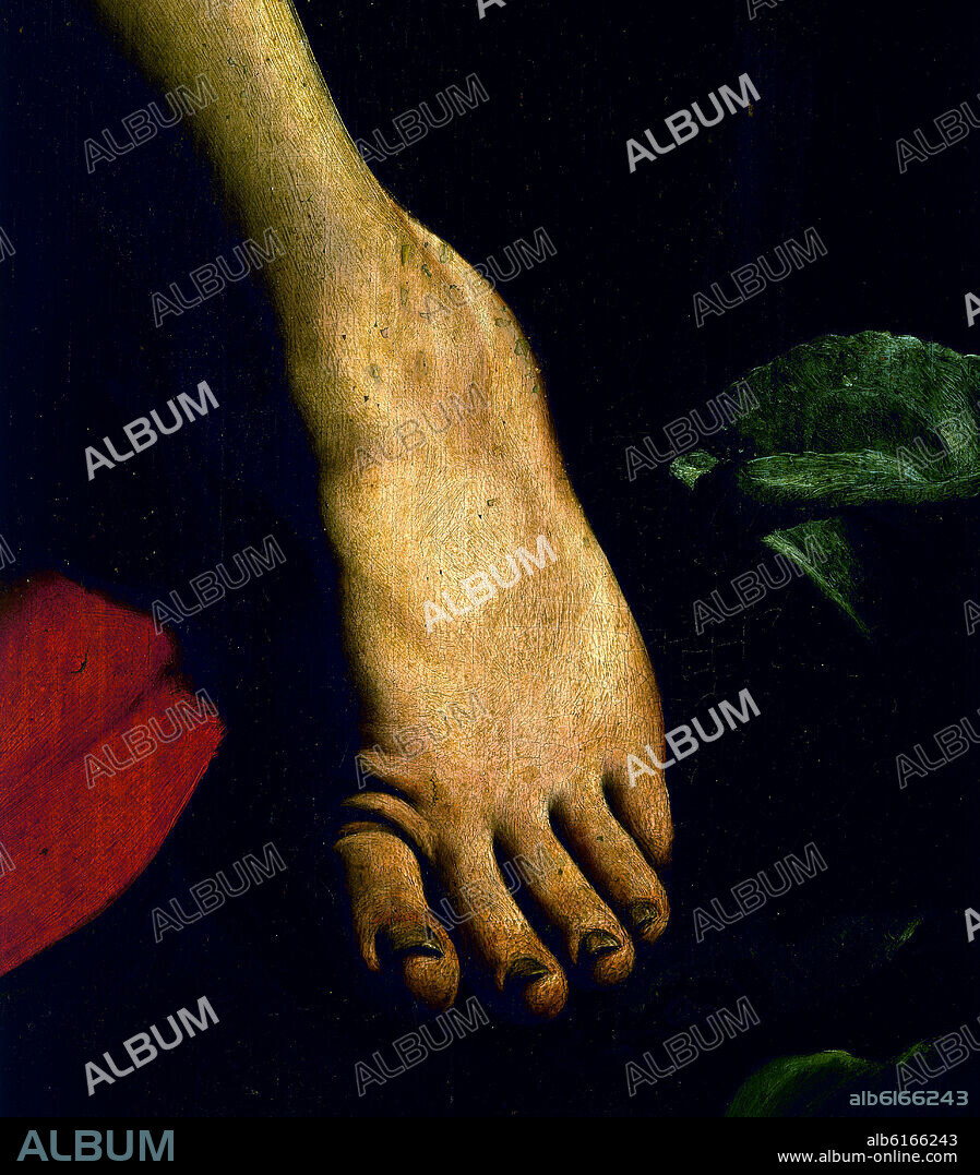 MICHELANGELO MERISI DA CARAVAGGIO (1573-1610). SAN JUAN BAUTISTA - 1597-98 - DETALLE DEL PIE - OLEO/LIENZO - BARROCO ITALIANO - Conj nº  62632.