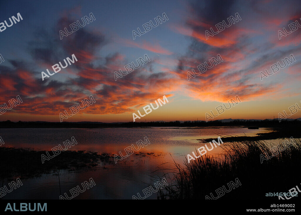 Puesta de sol en el Parque Natural de los 'Aigüamolls de l'Empordà', humedal situado en la confluencia de los ríos Fluvià y Muga. Comarca de l'Alt Empordà. Provincia de Girona. Cataluña.