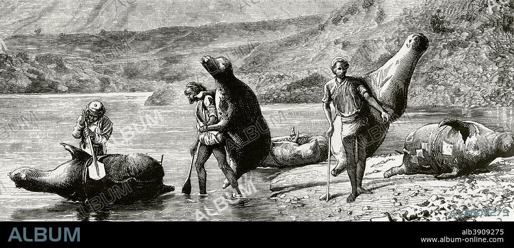 Asia. Noroeste de la India. Punjab. Población autóctona atravesando con pellejos inflados (mussaks) el río Beas. Grabado. La Ilustración Española y Americana, 8 de abril de 1876. Biblioteca Histórico Militar de Barcelona, Cataluña, España.