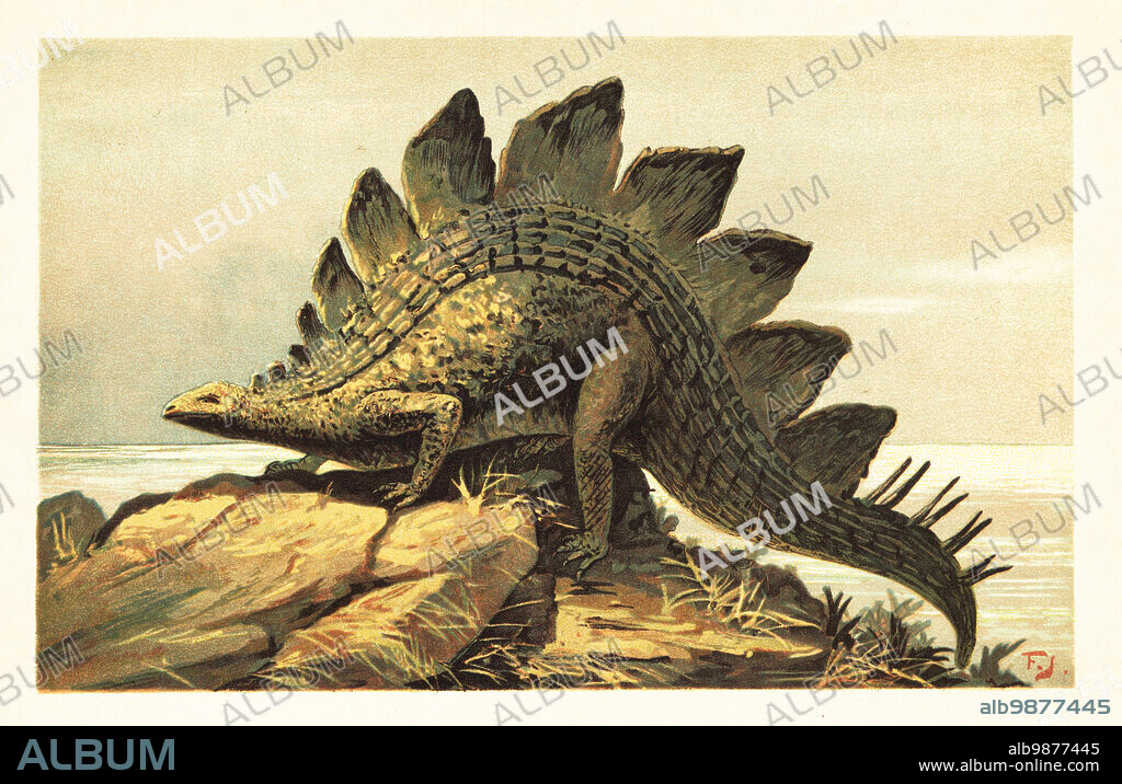 Stegosaurus, extinct genus of herbivorous, four-legged, stegosaurian dinosaur from the Late Jurassic. Stegosaurus ungulatus Marsh. Colour printed illustration by F. John from Wilhelm Bolsches Tiere der Urwelt (Animals of the Prehistoric World), Reichardt Cocoa company, Hamburg, 1908.