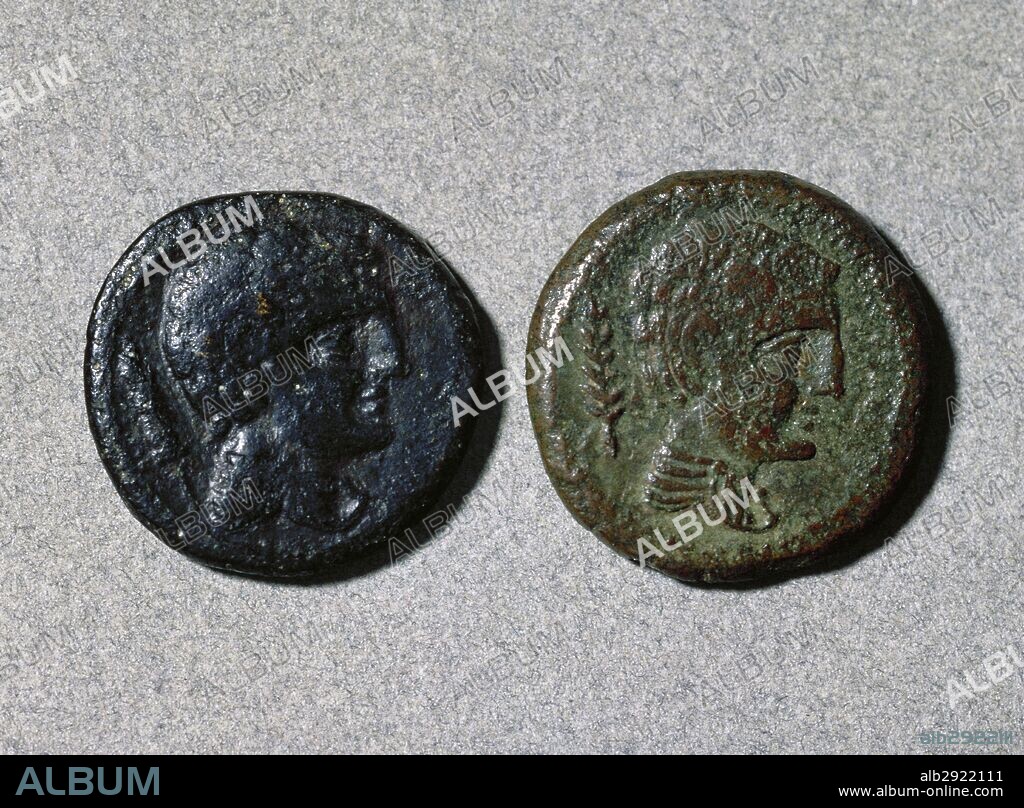 Assarius. Roman Coins. Adverse. Ibero-roman. Bronze. Head. Mint of Iltircescen (Tortosa, Catalonia). History Museum. Sabadell. Catalonia. Spain.