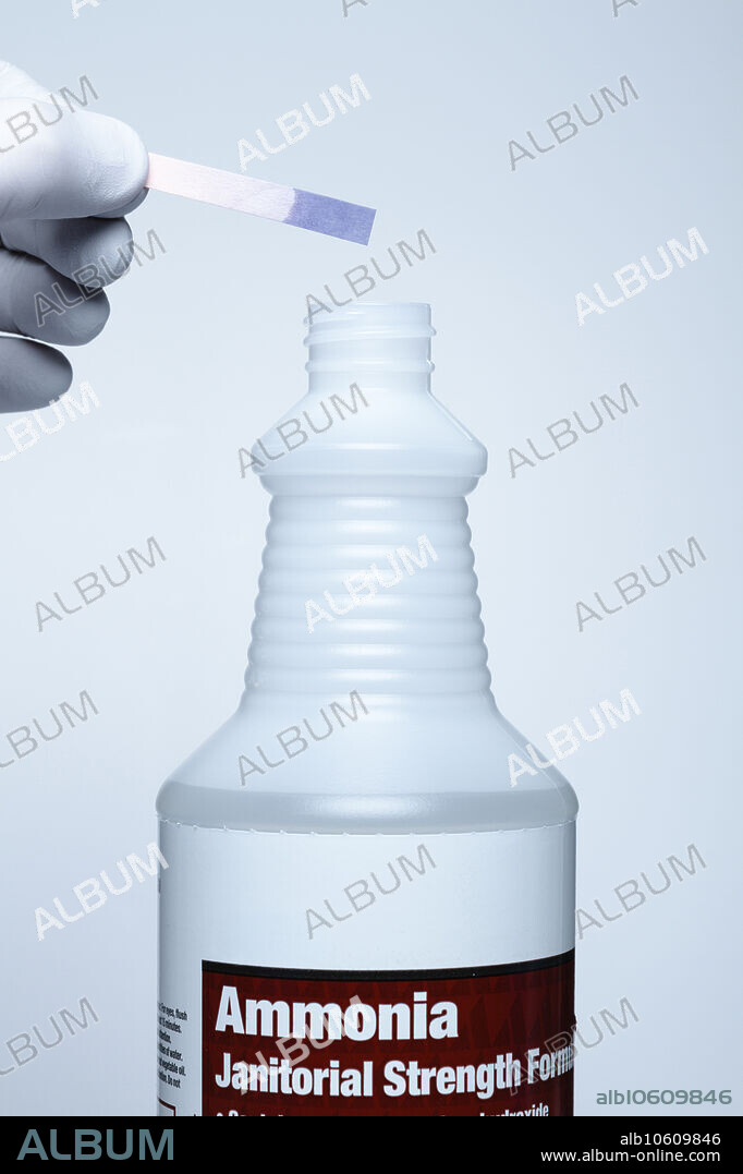 pH of household ammonia. Household ammonia is a 10% solution of ammonium hydroxide. Here a damp red litmus strip is held above an opened ammonia bottle. The strip turns blue, indicating that the vapor is alkaline.