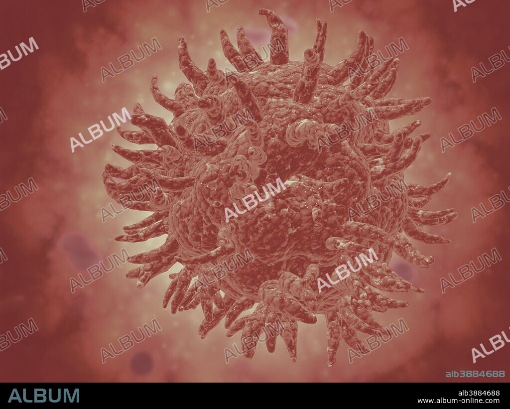 Microscopic view of yellow fever virus. Yellow fever is an acute viral disease.
