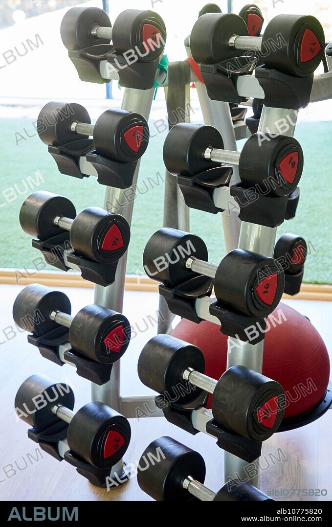 Dumbbells, Fitness center, Donostia, San Sebastian, Basque Country, Spain, Europe.