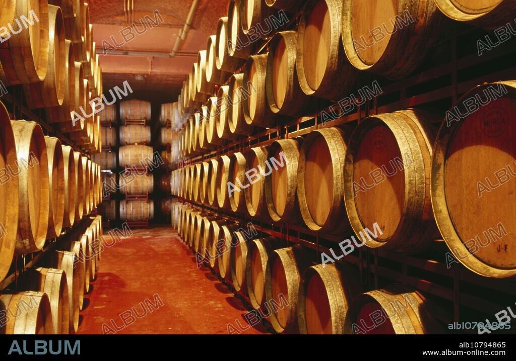 Wine cellar. La Rioja. Spain.