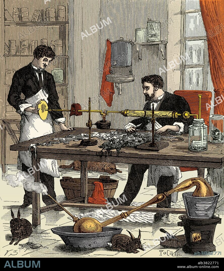 Entitled: "Medical research on methods of poisoning." The use of poison as a murder weapon goes back thousands of years. Toxicology is a branch of biology, chemistry, and medicine concerned with the study of the adverse effects of chemicals on living organisms. The goal of toxicity assessment is to identify adverse effects of a substance. Adverse effects depend on two main factors: 1) routes of exposure (oral, inhalation, or dermal) and 2) dose (duration and concentration of exposure). To explore dose, substances are tested in both acute and chronic models. Generally, different sets of experiments are conducted to determine whether a substance causes cancer and to examine other forms of toxicity. No artist credited, undated. This image has been color enhanced.