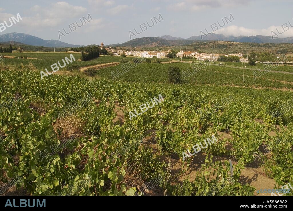 viñedos y pueblo de Espolla (D.O Empordà - Costa Brava).