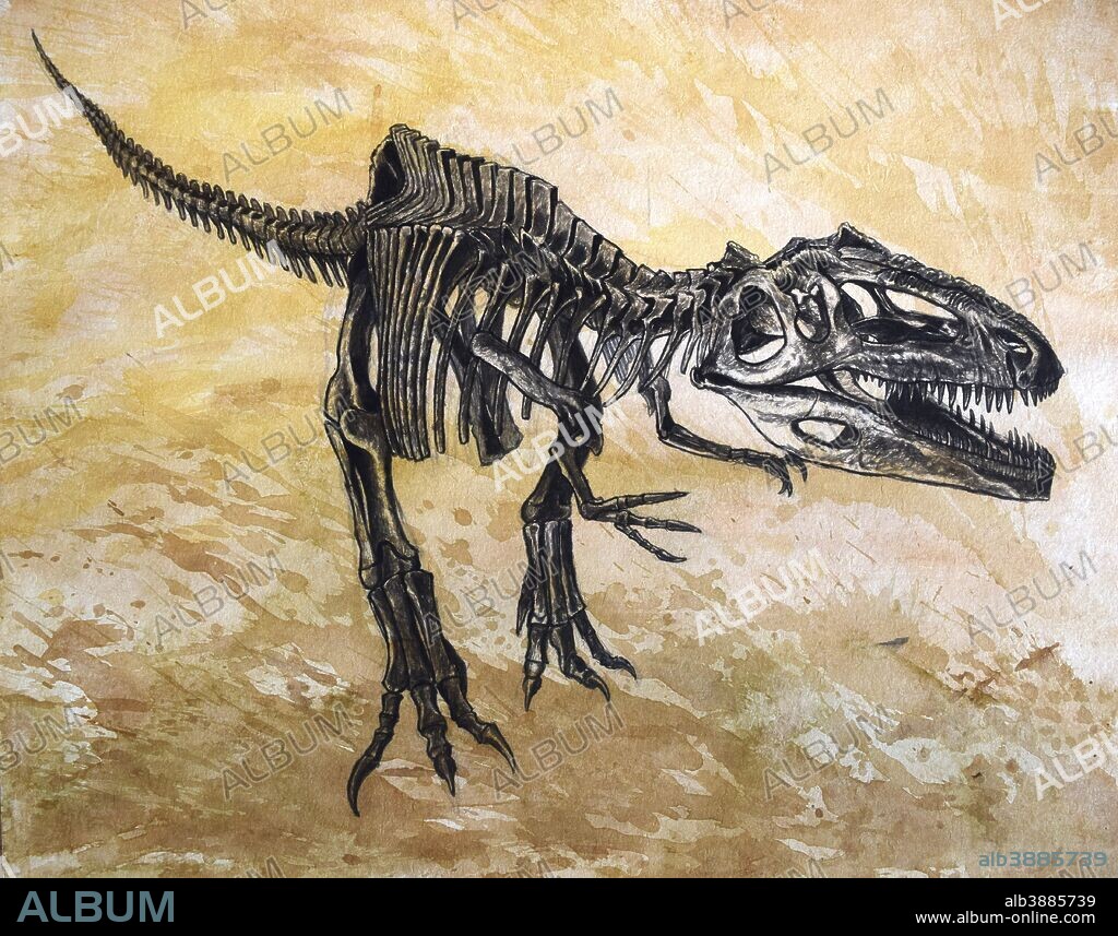 Giganotosaurus dinosaur skeleton on textured background.