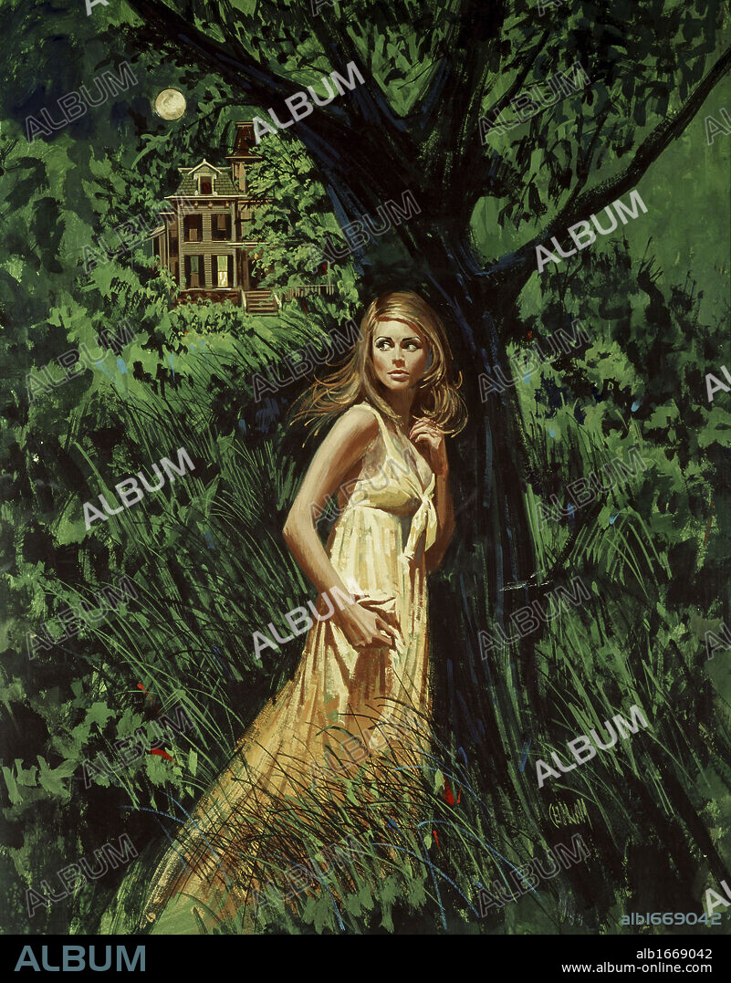ARTIST UNKNOWN. Walk in the Moonlight by unknown artist.