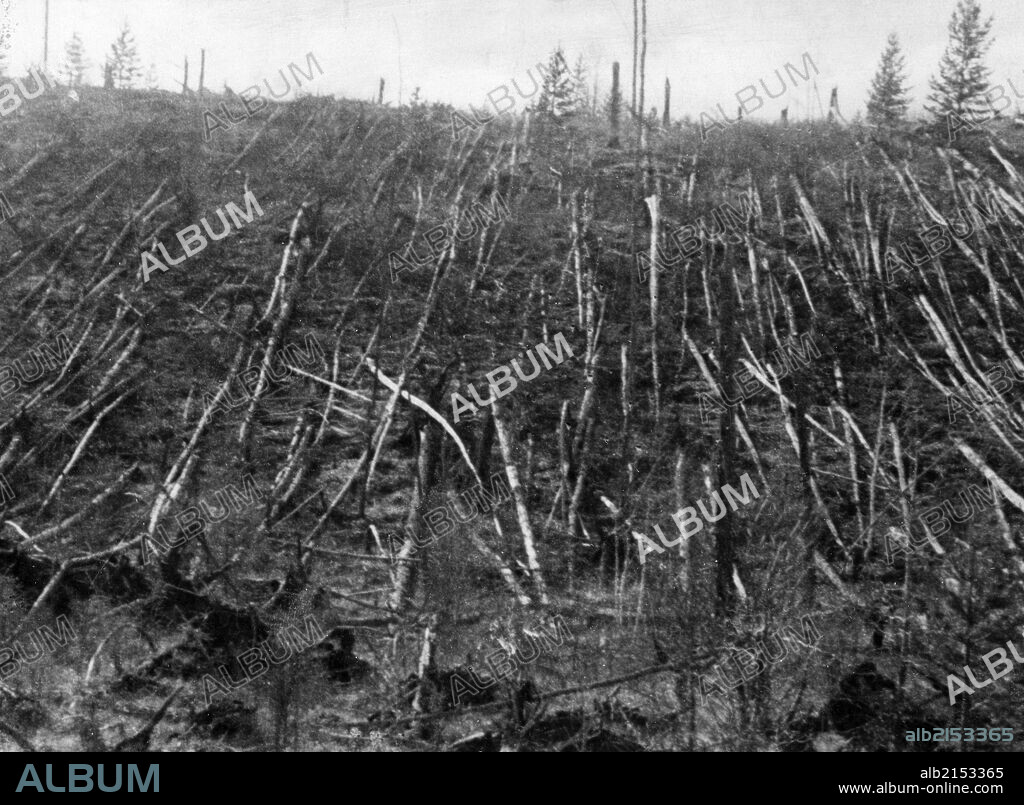 Siberian taiga forest that was flattened by the blast from the tunguska meteorite near where the meteorite fell in 1908, this picture was taken during professor leonid kulik's 1938 expedition to investigate the event.