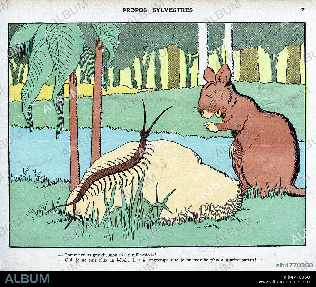 Propos sylvestres: comme tu as grandi mon vieux mille-pieds. Illustration in Scenes Comiques dans la Foret, par Benjamin RABIER, Editions Garnier, 1928. Credit Collection MA/KHARBINE TAPABOR.