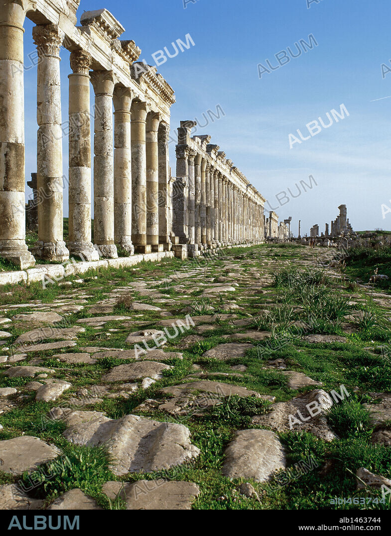 Apamea or Apameia (Afamia). Colonnade in the Cardo Maximus. Syria.