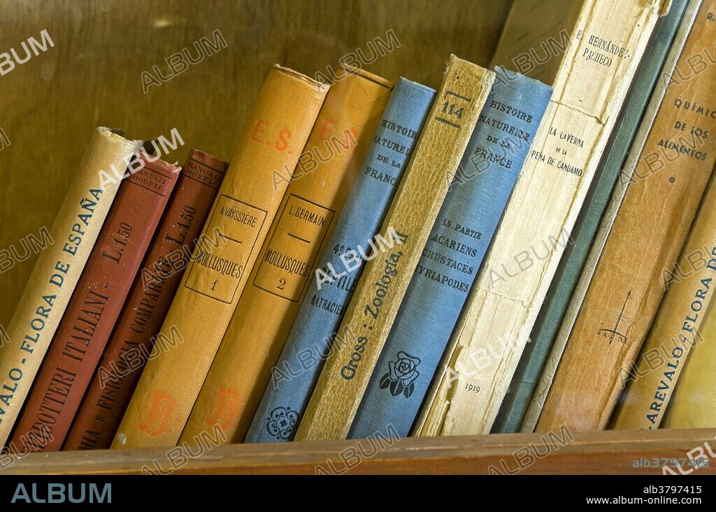 Classroom of Antonio Machado in the old university - books detail, Baeza, Jaen province, Region of Andalusia, Spain, Europe.