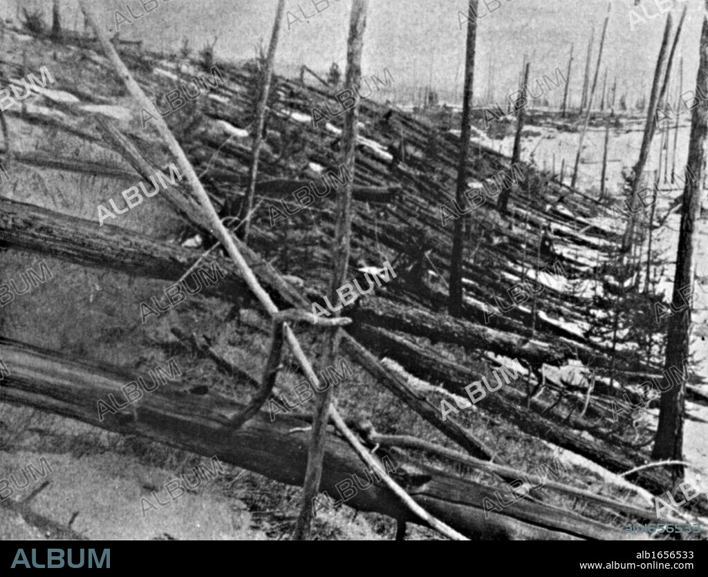 The Tunguska Event, or Tunguska Explosion, 30 June 1908, near the Podkamennaya, Tunguska River, Krasnoyarsk Krai, Russia. Cause disputed, but generally accepted as caused by a meteorite. Detail of blasted trees.