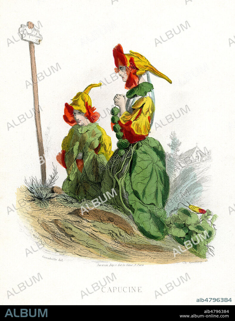 Capucine. Illustration de GRANDVILLE (1803-1847) pour Les Fleurs animees de Taxile DELORD (1815-1877). (Edition de 1867-La 1ere edition date de 1847). Credit : Collection Jonas/Kharbine-Tapabor.