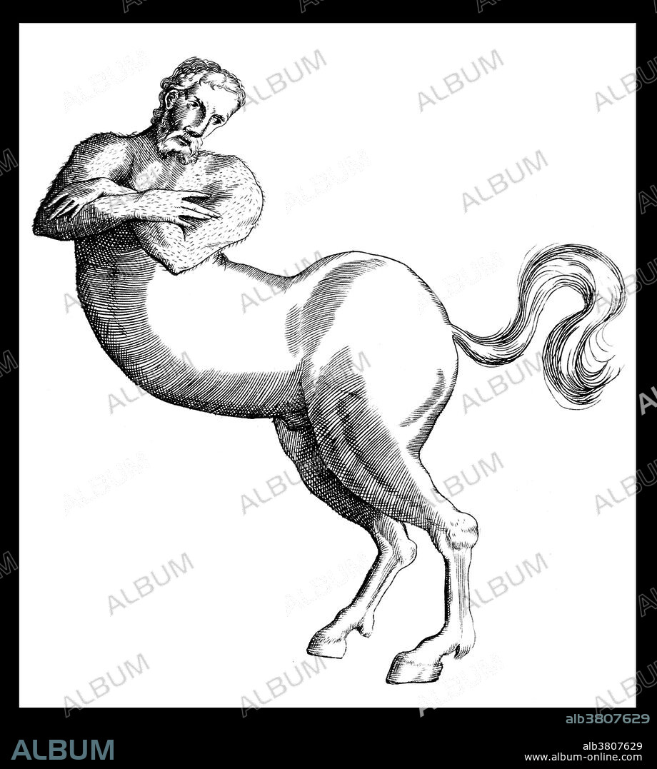 A centaur was a mythological creature with the head, arms, and torso of a human and the body and legs of a horse, known for their lustfulness and drunkenness. The exception was the wise Centaur Chiron. The father of Centaurs was Centaurus, who was held in disrepute by both men and gods. He gave birth to the race of Centaurs by mating with Magnesian mares.