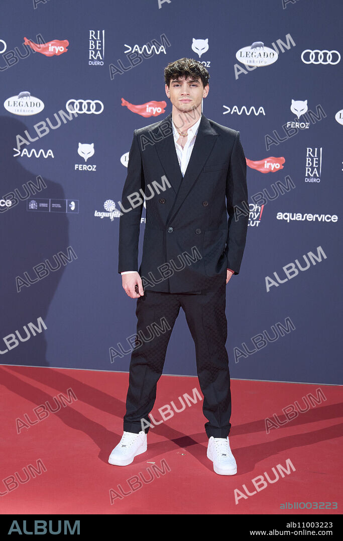 Gabriel Guevara attends Feroz Awards 2024 - Red Carpet at Vistalegre Palace on January 27, 2024 in Madrid, Spain.