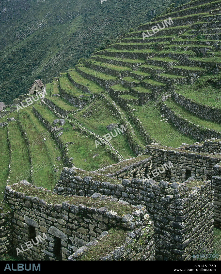 ARTE PRECOLOMBINO. INCA. PERU. MACHU PICCHU. Vista del amplio "sector agrícola" de la ciudad, compuesto por un gran número de TERRAZAS DE CULTIVO o ANDENES. Andes Centrales.