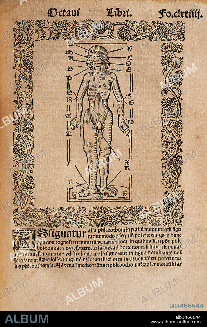 Ramon Llull (1235-1316). Spanish writer and philosopher.  Practica Compendiosa Artis Raymundi Lulli, 1523. Book 8. Medicine subject. Engraving depicting the human body and the influence of the stars (the astrological associations of the human body).