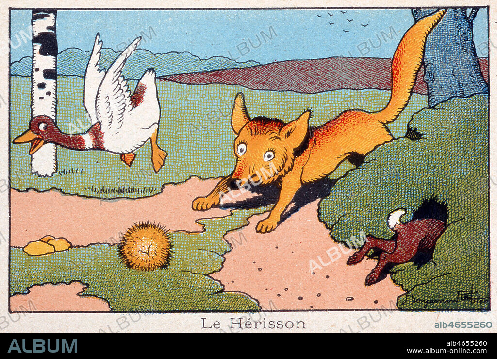 Le herisson. Illustration de Benjamin RABIER (1864-1939) pour une carte postale vers 1910. Scenes animalieres, animaux amusants, humoristiques. Credit : Collection IM/KHARBINE-TAPABOR.