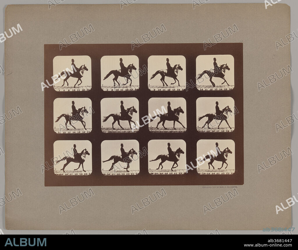 Attitudes of Animals in Motion. Artist: Eadweard Muybridge (American, born Britain, 1830-1904). Dimensions: Image: 6 5/16 × 9 15/16 in. (16 × 25.3 cm)
Mount: 8 13/16 × 12 5/8 in. (22.4 × 32 cm). Date: 1879, printed 1881.
In 1872, Leland Stanford, former governor of California and president of the Central Pacific Railroad, asked Eadweard Muybridge to photograph a horse galloping at full speed. This simple request, intended to confirm Stanford's theory that all of the horse's feet were off the ground simultaneously at some point during its stride, launched Muybridge on a lifelong pursuit to record animals in motion. 
He developed an ingenious method of stop-action photography: a battery of twenty-four cameras triggered either at timed intervals or as the horse's legs tripped a wire suspended above the ground. The result was a sequence of discrete images representing postures previously invisible to the human eye.