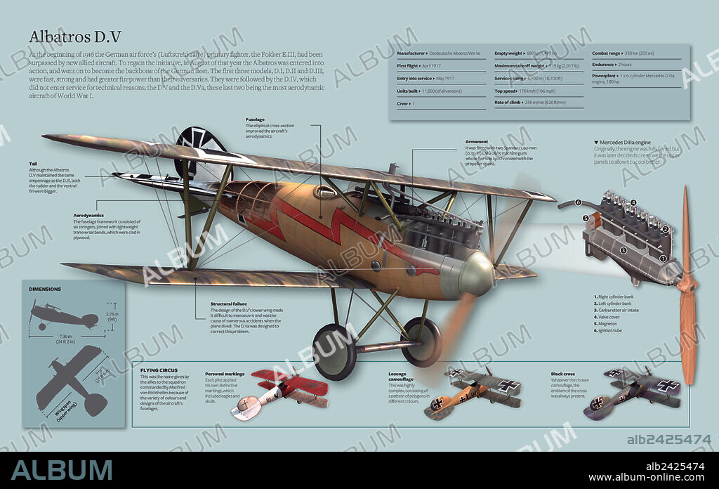 Albatros D. V. Infographic about the aircraft Albatross D.V., spine of the German fleet during World War I.