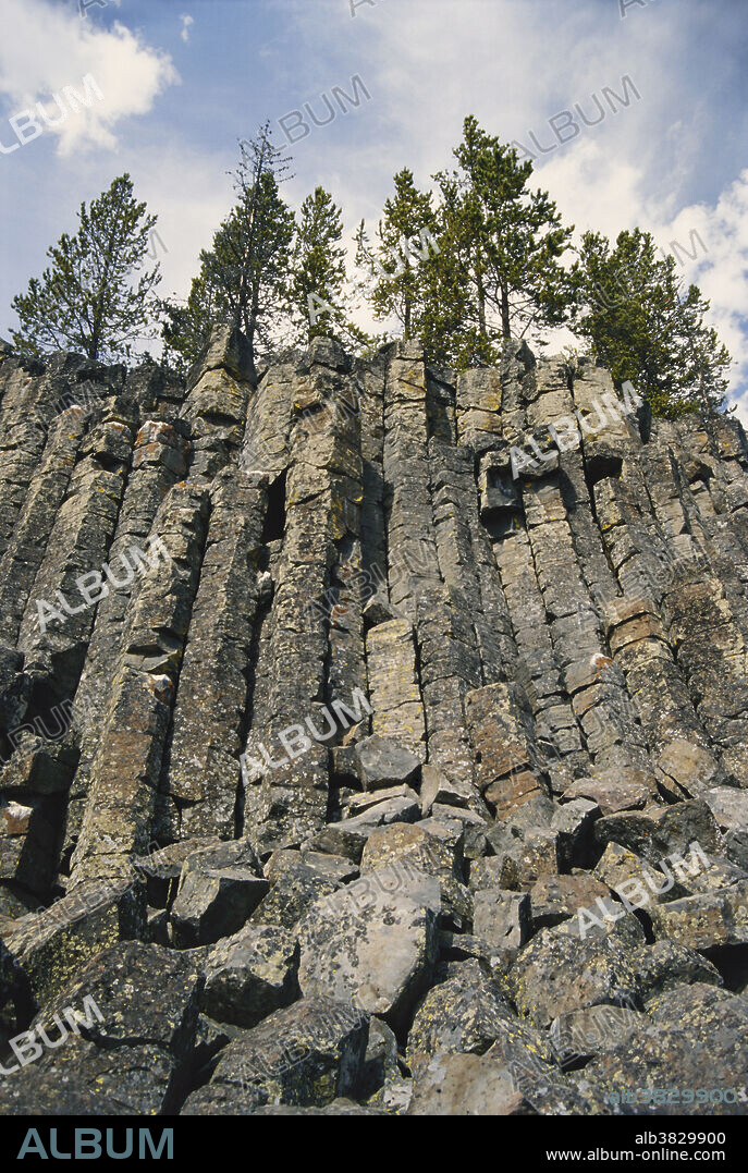 Basaltic columns on Sheepeater Cliffs in Yellowstone National Park, Wyoming.