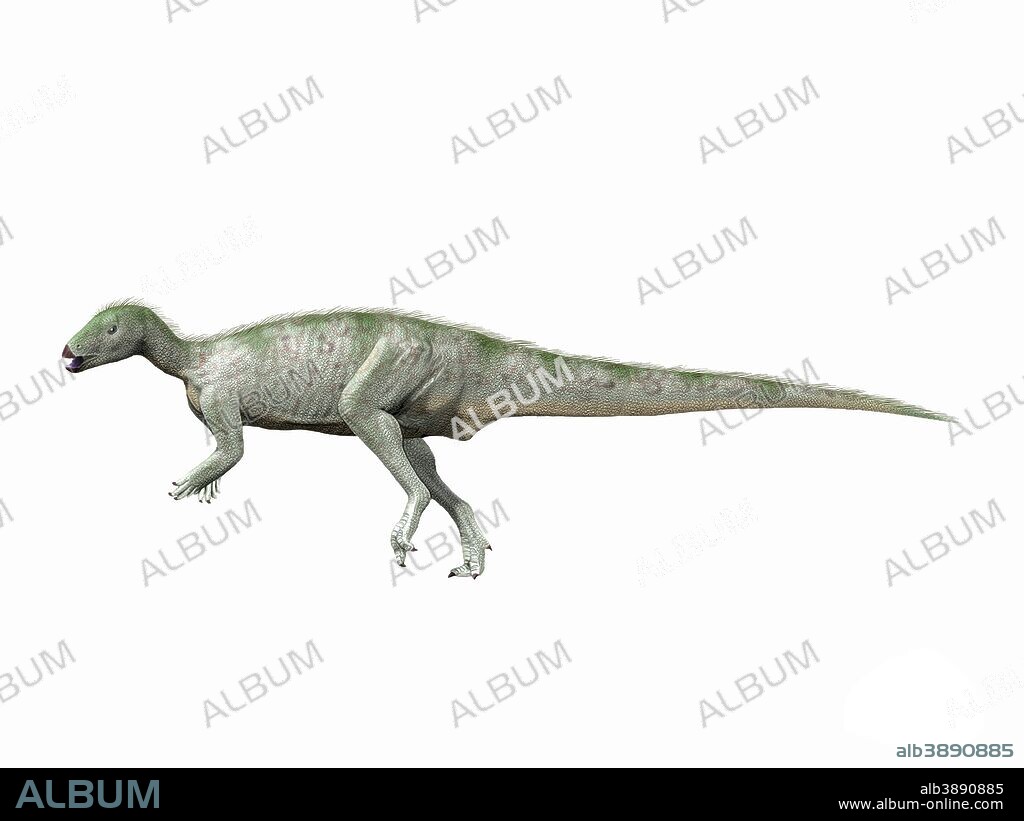 Hypsilophodon foxii, Early Cretaceous of England.