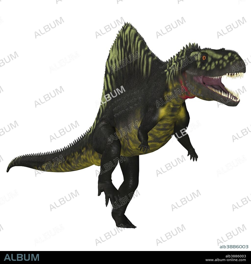 Arizonasaurus dinosaur on white background. Arizonasaurus was a sailback carnivorous archosaur that lived in Arizona, North America in the Triassic Period.