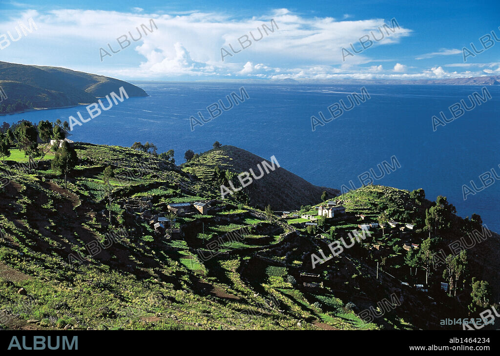 CAMPOS DE CULTIVO EN TERRAZAS junto a las aguas del LAGO TITICACA. Altiplano de los Andes. Bolivia.