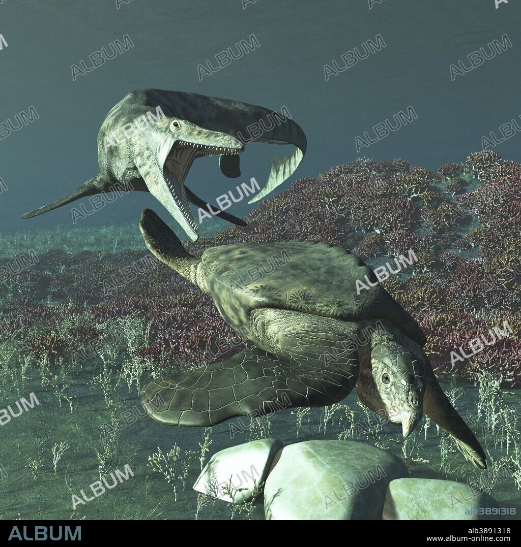 Tylosaurus proriger preying on a giant Archelon sea turtle. Archelon was about 13 feet long and 16 feet wide, flipper to flipper with their shells being about 11 feet by 11 feet. It's closest modern relative is the leatherback sea turtle.