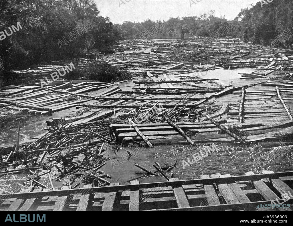 Cedar logs on the Tebicuary-Guazu River floating by the railway bridge, Paraguay, 1911. A print from Picturesque Paraguay by Alexander K MacDonald, Charles H Kelly, London, 1911.