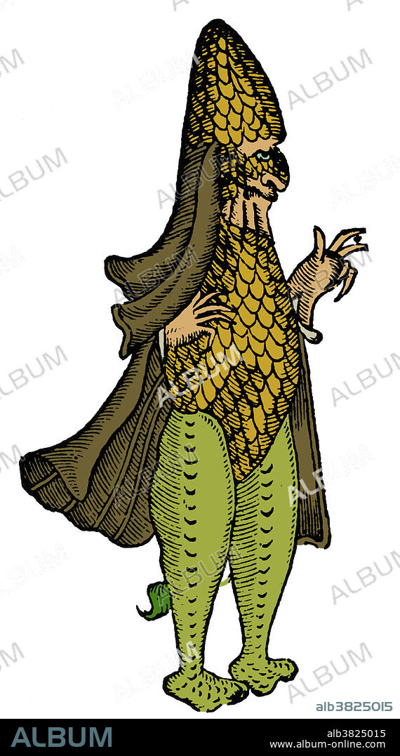 Woodcut of a marine monster resembling a Bishop dressed in his pontifical garments from Des Monstres et prodiges by Ambroise Pare, 1573. Des Monstres is filled with unsubstantiated accounts of sea devils, marine sows, and monstrous animals with human faces. With its extensive discussion of reproduction and illustrations of birth defects, the book invited accusations of pornography. Sea monsters are sea-dwelling mythical or legendary creatures, often believed to be of immense size. Marine monsters can take many forms, including sea dragons, sea serpents, or multi-armed beasts. They can be slimy or scaly and are often pictured threatening ships or spouting jets of water.