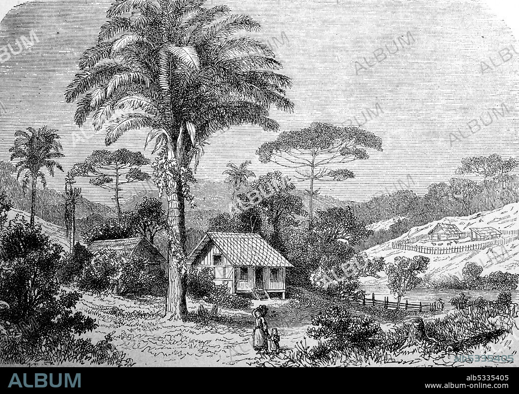 Scenic at the german colony Blumenau near Itajai-Acu river, Brazil, 1888  /  Landschaft in der deutschen Kolonie Blumenau am Itajahn, Itajai-Acu river, Brasilien, 1888, Historisch, historical, digital improved reproduction of an original from the 19th century / digitale Reproduktion einer Originalvorlage aus dem 19. Jahrhundert.