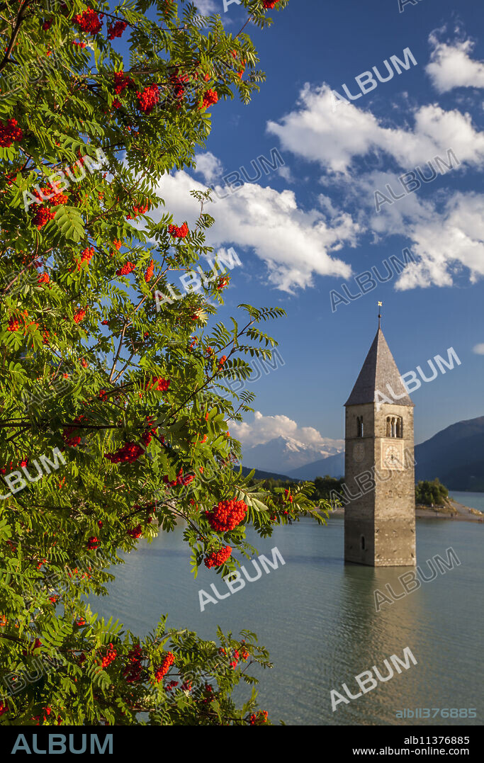 Campanile nel Lago di Resia, rising above Lago di Resia (Reschensee) (Lake Reschen), a reservoir beneath which are the submerged hamlets of Arlung, Piz, Gorf and Stockerhofe, South Tyrol, Italy, Europe.
