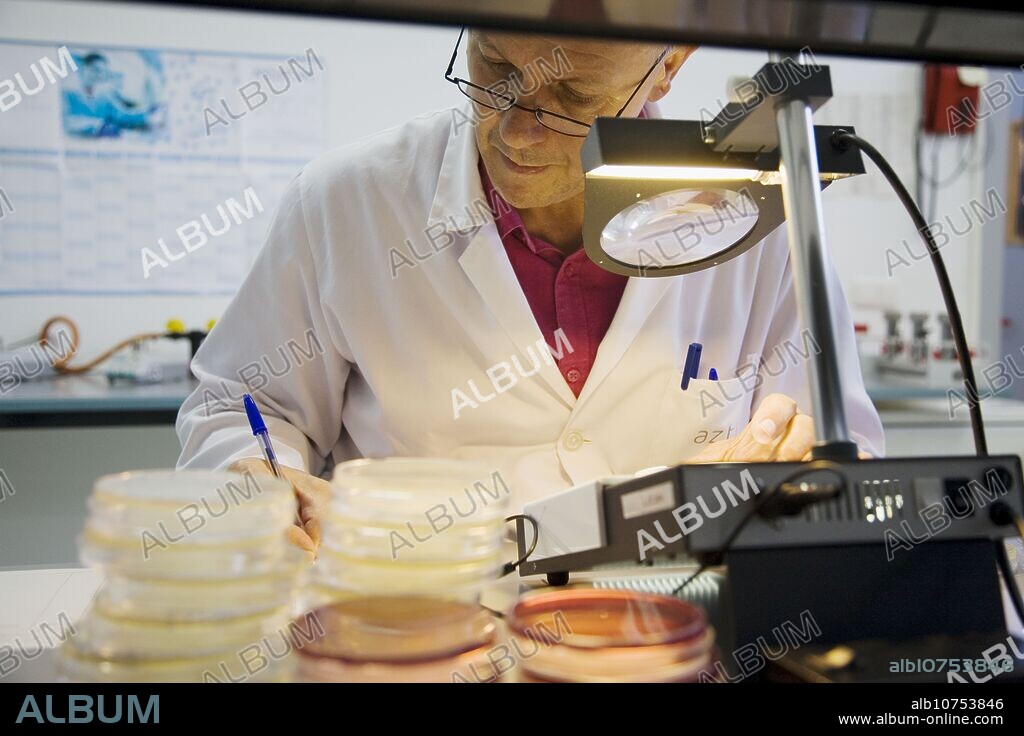 Bacteries count. Microbiology Laboratory. Microbiological analysis of food. AZTI-Tecnalia. Technological Centre specialised in Marine and Food Research. Sukarrieta, Bizkaia, Euskadi. Spain.