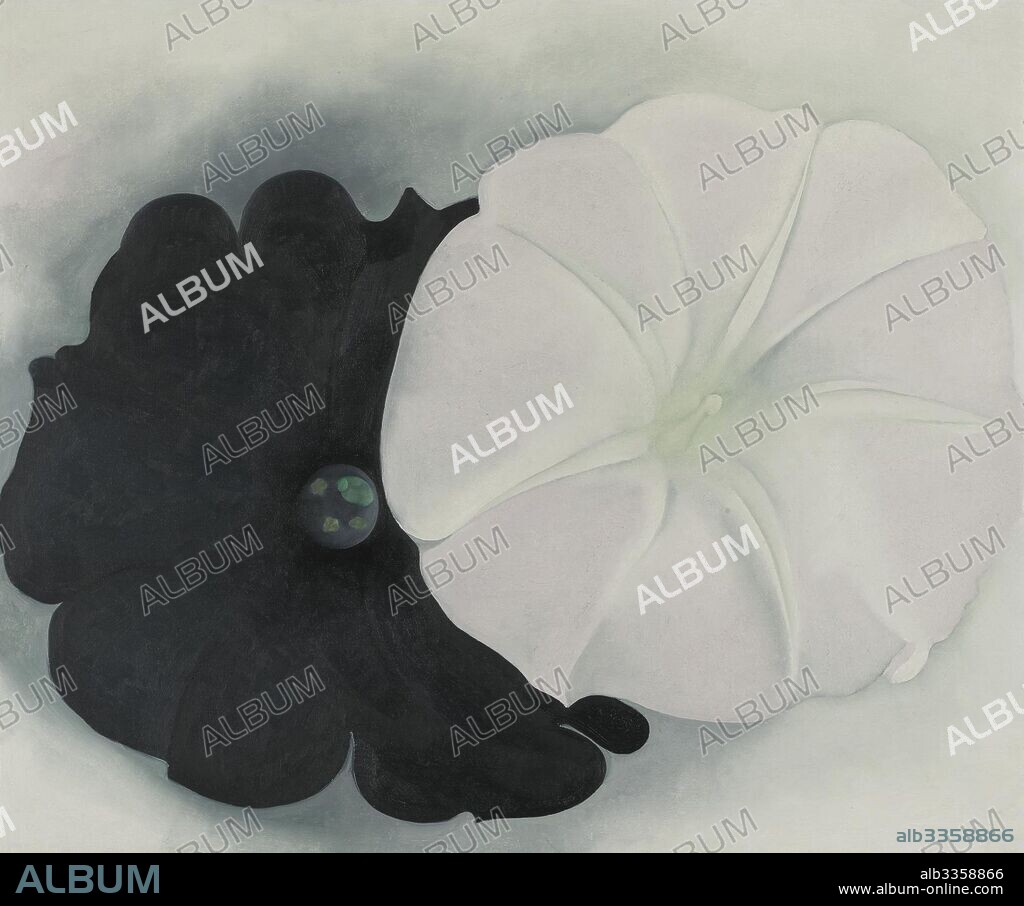 GEORGIA O'KEEFFE. Black Petunia and White Morning Glory I.