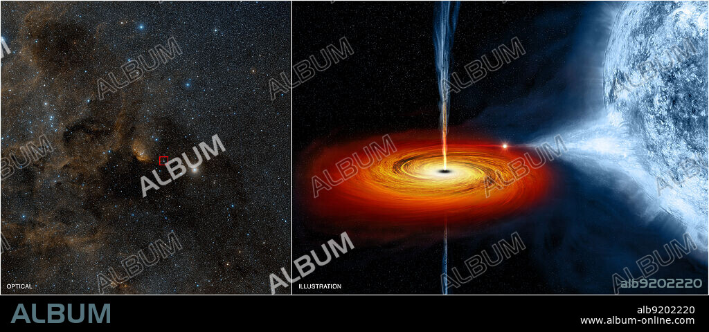 On the left, an optical image from the Digitized Sky Survey shows Cygnus X-1, outlined in a red box. Cygnus X-1 is located near large active regions of star formation in the Milky Way, as seen in this image that spans some 700 light years across. An artist's illustration on the right depicts what astronomers think is happening within the Cygnus X-1 system. Cygnus X-1 is a so-called stellar-mass black hole, a class of black holes that comes from the collapse of a massive star. The black hole pulls material from a massive, blue companion star toward it. This material forms a disk (shown in red and orange) that rotates around the black hole before falling into it or being redirected away from the black hole in the form of powerful jets. A trio of papers with data from radio, optical and X-ray telescopes, including NASA's Chandra X-ray Observatory, has revealed new details about the birth of this famous black hole that took place millions of years ago. Using X-ray data from Chandra, the Rossi X-ray Timing Explorer, and the Advanced Satellite for Cosmology and Astrophysics, scientists were able to determine the spin of Cygnus X-1 with unprecedented accuracy, showing that the black hole is spinning at very close to its maximum rate. Its event horizon, the point of no return for material falling towards a black hole, is spinning around more than 800 times a second. Release date November 17, 2011.