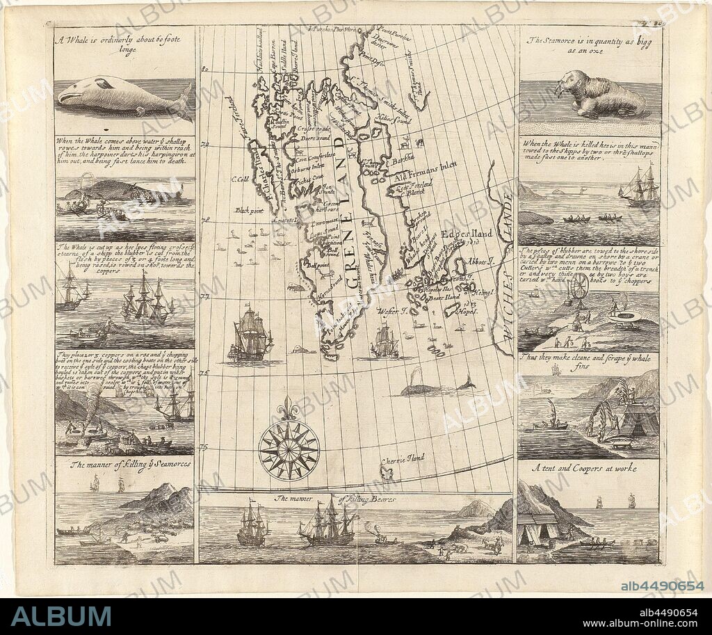 Map of Spitsbergen by Thomas Edge, 1625 Greneland (title on object), Map of the west coast of Spitsbergen (indicated on the map as 'Greneland'), with the coastline indicated as far as known. Many English toponyms are indicated along the coastline. In the sea part birds, walruses, a whale, rowing boat with four people and two ships. Reindeer and foxes on the land. A compass rose at the bottom center of the map section, pointing straight up, further on the map protractors with indications of North latitude (75 to 80). On both sides of the map section are two rows of five pictures each with scenes, mainly concerning the whale hunting, some concerning the hunting of walruses and bears. Inscriptions are written in English with each image. Below the map section an eleventh image of the hunt for polar bears, whale fishery, whaling, swimming mammals: whale, swimming mammals (with NAME), beasts of prey, predatory animals: polar bear, Spitsbergen, Thomas Edge, Northern Company, Dutch East India Company, Muscovy Company, Thomas Edge (cartograaf), London, 1625, paper, engraving, h 294 mm × w 333 mm.