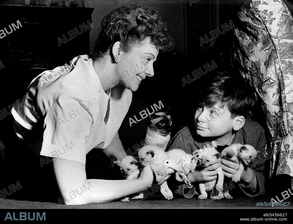 He Called To Draw His "Kit" -- When quins arrived for Jack and Jill the Siamese cats owned by Rene Ray, the actress, 10-year-old Ralph Hussein of Hampstead, read about it in the Sunday Graphic and wrote asking if he could have one of the kittens. to his delight Rane said: "Come along and choose one now, and you can have it as soon as it is two months old. "He has decided to call it NINA after the part Rene is now playing in "Rainbow" at the New Boltons theatre, Kensington. February 04, 1951. (Photo by Paul Popper Ltd.).