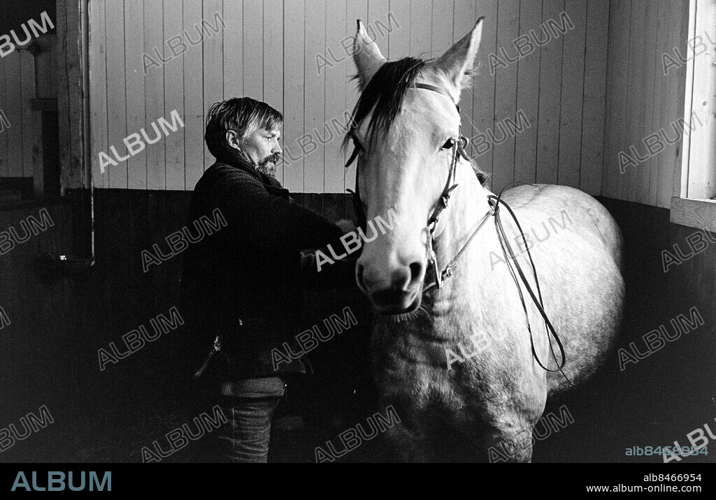 SKARA 1971-11-22.. Per Oscarsson, skådespelare, med en häst, vid sitt hus Trestena gård utanför Skara.. Foto: Bertil S-son Åberg / RiR / SVT / Kod: 5600. Reportage publ. i RiR 50/71 sid. 12-13, 54 inför långfilmen Oss emellan, i TV.. RiR 20315 sv/v neg.