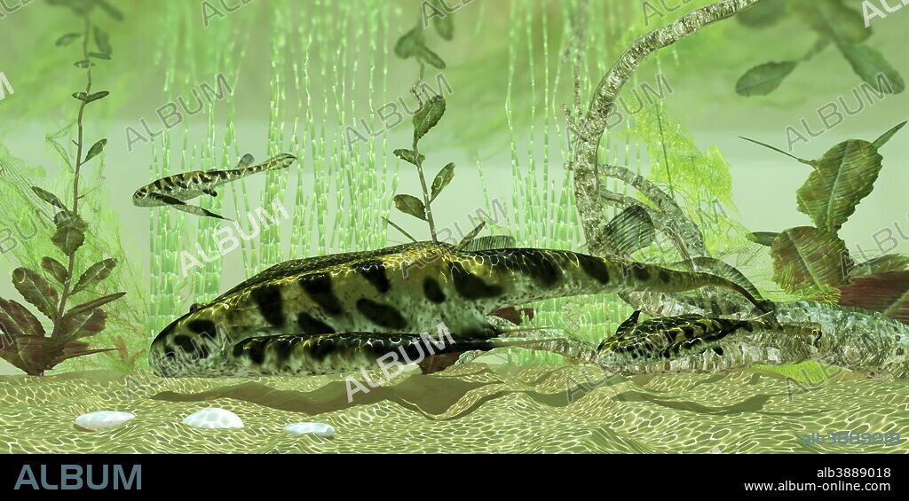 Bothriolepis, a freshwater bottom feeder found in rivers and lakes in the Devonian Period.
