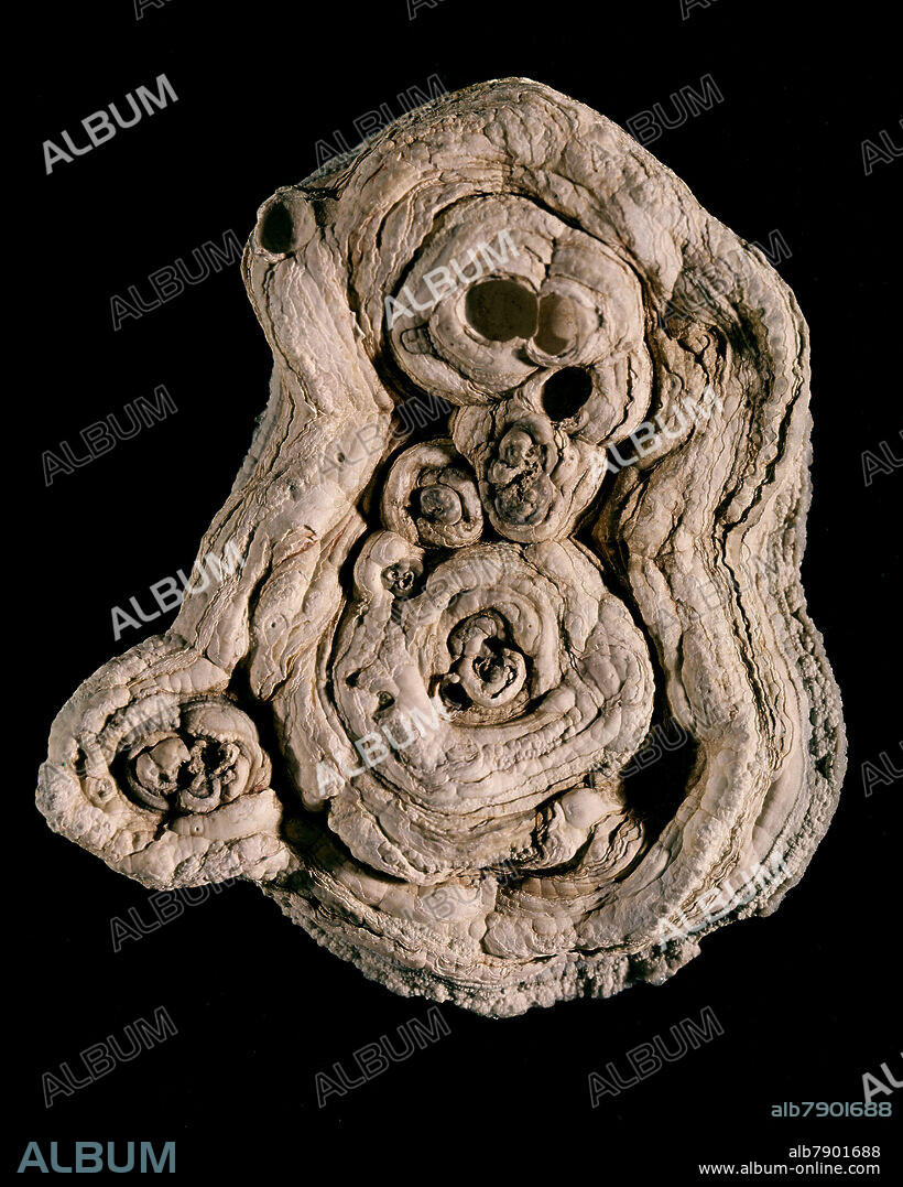 MINERAL-CUARZO CRIPTOCRISTALINO - CRISOPRASA - TIPO CALCEDONIA.