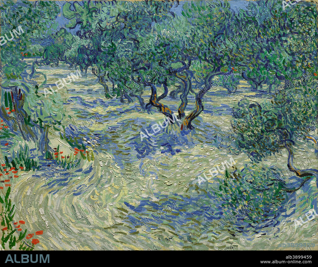 VINCENT VAN GOGH. Olijfgaard / Olive Orchard / Olive Grove. Date/Period: Saint-Rémy, June 1889. Painting. Oil on canvas. Height: 73 cm (28.7 in); Width: 92 cm (36.2 in).