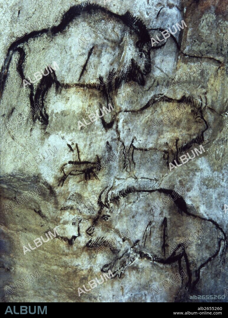 Cave of Niaux. Black Hall panel. Painting of injured bisons, executed in a Black-outlined style. Late Upper Paleolithic. Magdalenian Culture, c. 13.000 BCE. Ariege, southwestern France. Europe.