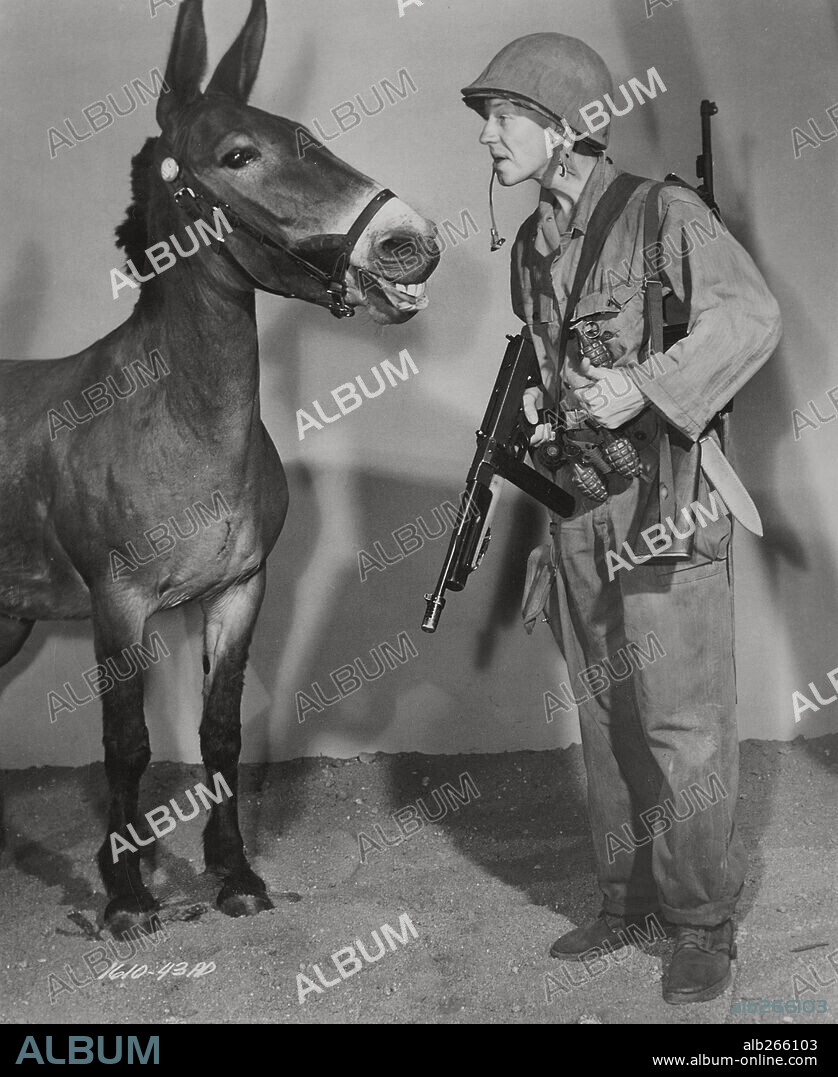 DONALD O'CONNOR y FRANCIS (MULA) en FRANCIS IN THE NAVY, 1955. Copyright UNIVERSAL PICTURES.