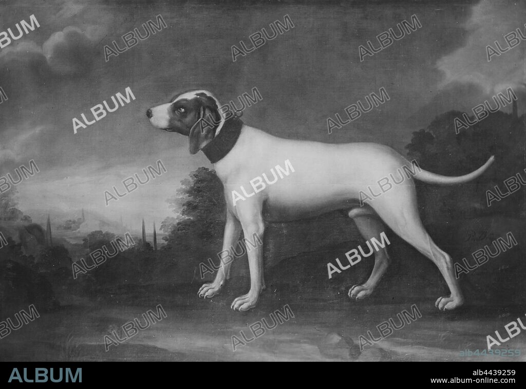David Kock, Large white dog, painting, animal painting, 1737, Oil on canvas, Height, 146 cm (57.4 inches), Width, 209 cm (82.2 inches), Signed, Per Dr David Kåkk Pingt.