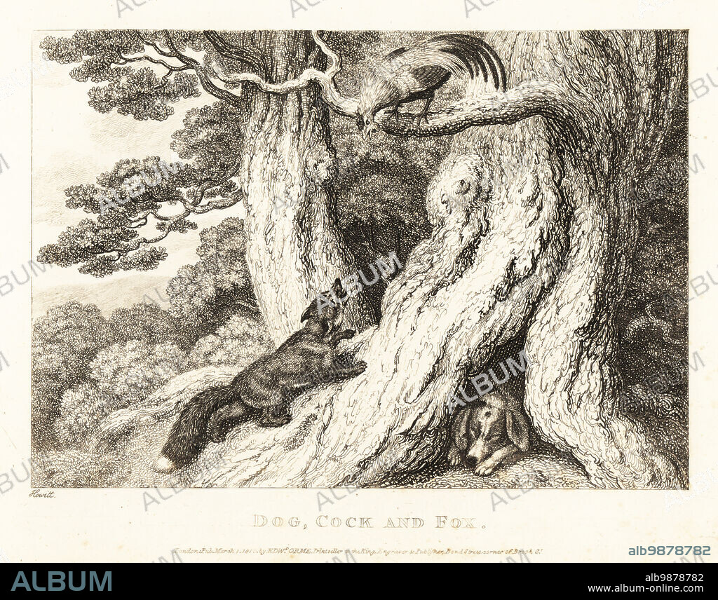 A cock in a tree outwits a cunning fox, while a dog sleeps in a hollow. Dog, cock and fox.Illustration of a fable by Greek author Aesop. Copperplate etching drawn and engraved from life by Samuel Howitt from his own A New Work of Animals, Principally Designed from the Fables of Aesop, Gay and Phaedrus, Edward Orme, London, 1811.