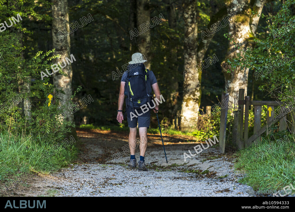 pilgrims walking on the path, Alto de Mezkiritz (922 m), Auritzberri, Santiago's road, Navarra, Spain.