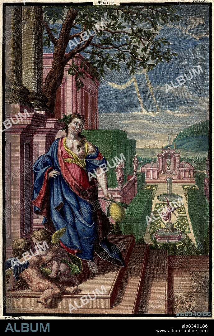 Aegle, Aigle, aus der grichischen Mythologie, Illustration aus Nºrnbergische Hesperides von Johann Christoph Volkamer, 1710 / garden, Illustration from Nºrnbergische Hesperides garden, 1710, Historisch, historical, digital improved reproduction of an original from the 18th century / digital restaurierte Reproduktion einer Originalvorlage aus dem 18. Jahrhundert, genaues Originaldatum nicht bekannt.